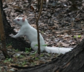 2016 06 11 WildLife MPLS 088